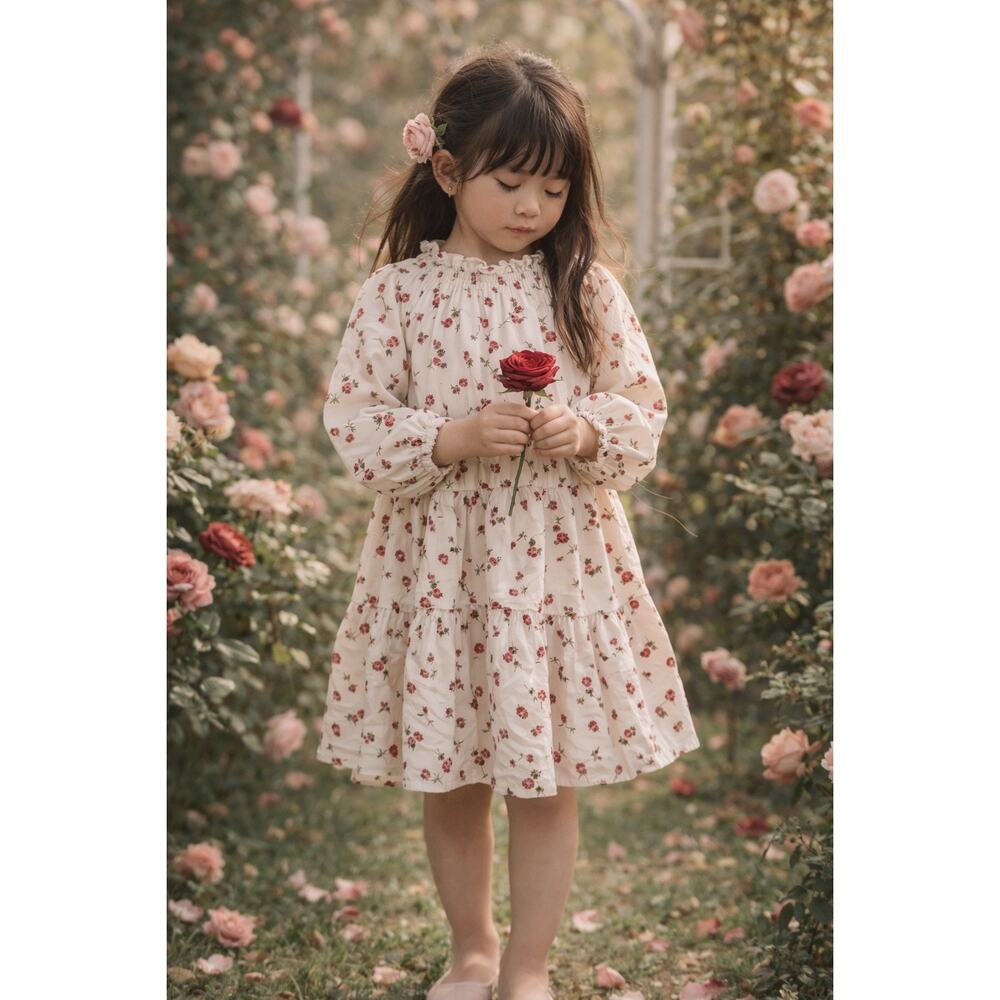 New Cranberry Rosette Chiffon Floaty Twirl Dress 4T